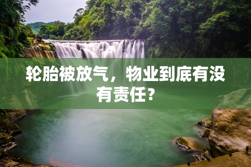 轮胎被放气，物业到底有没有责任？