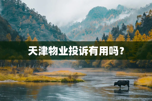 天津物业投诉有用吗？