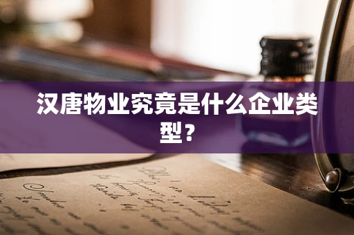 汉唐物业究竟是什么企业类型？