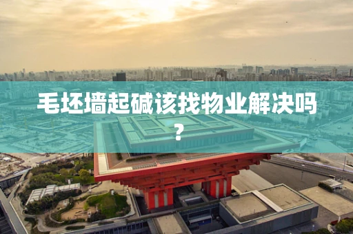 毛坯墙起碱该找物业解决吗？