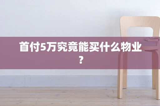 首付5万究竟能买什么物业？