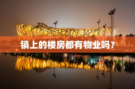 镇上的楼房都有物业吗？