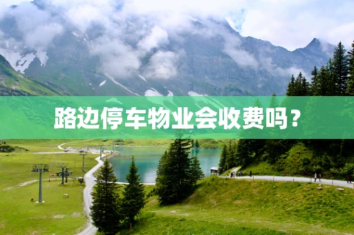 路边停车物业会收费吗？