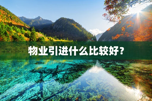 物业引进什么比较好？