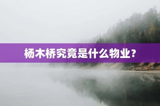 杨木桥究竟是什么物业？