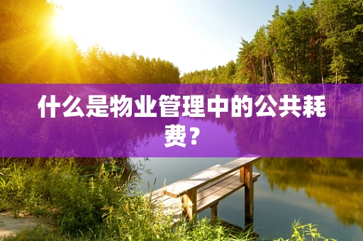 什么是物业管理中的公共耗费？