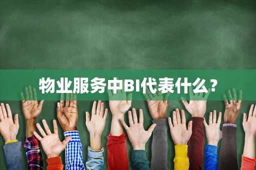 物业服务中BI代表什么？