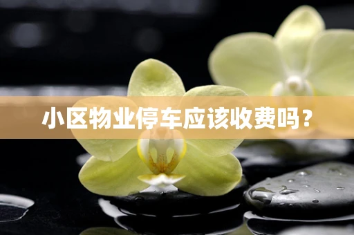 小区物业停车应该收费吗？