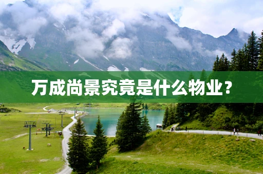 万成尚景究竟是什么物业？