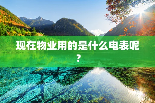 现在物业用的是什么电表呢？