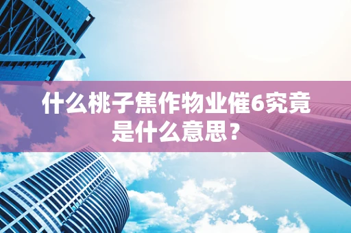 什么桃子焦作物业催6究竟是什么意思？
