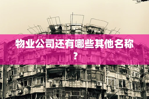 物业公司还有哪些其他名称？