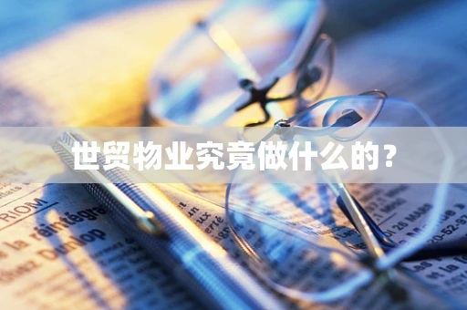 世贸物业究竟做什么的？