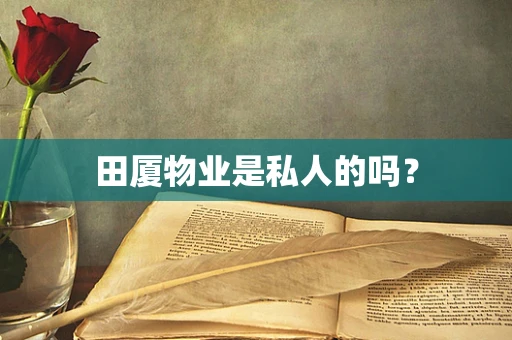 田厦物业是私人的吗？