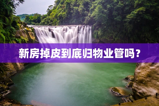 新房掉皮到底归物业管吗？
