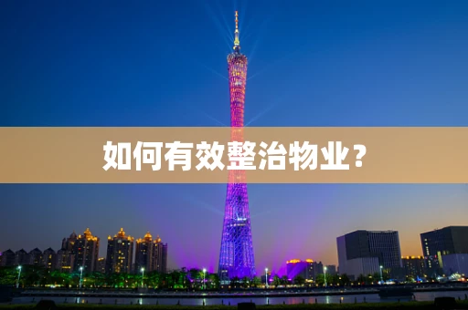 如何有效整治物业？