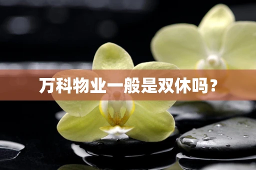 万科物业一般是双休吗？