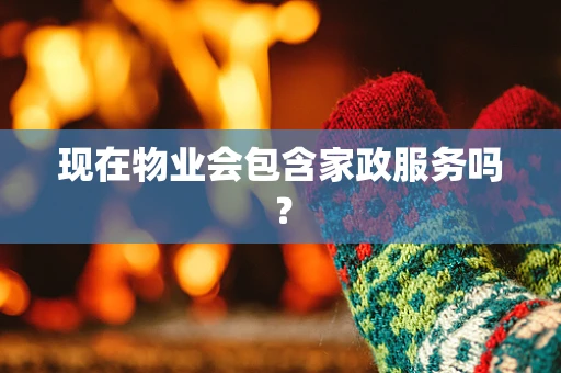现在物业会包含家政服务吗？
