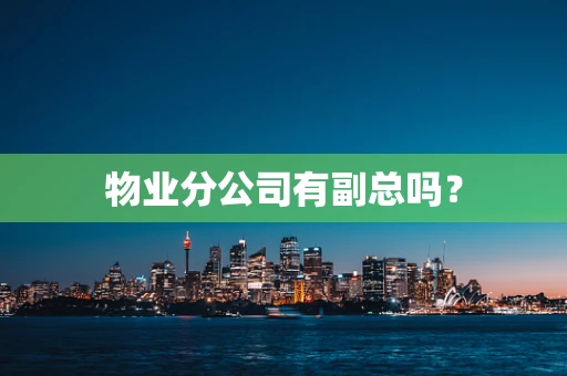 物业分公司有副总吗？