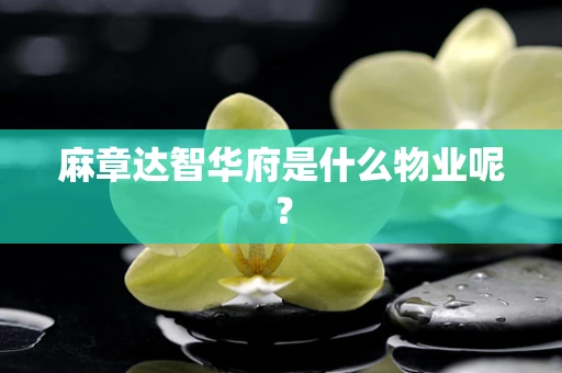 麻章达智华府是什么物业呢？