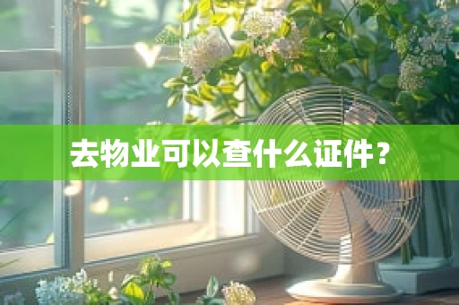 去物业可以查什么证件？