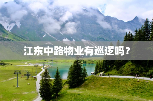 江东中路物业有巡逻吗？