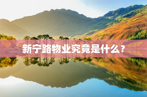 新宁路物业究竟是什么？