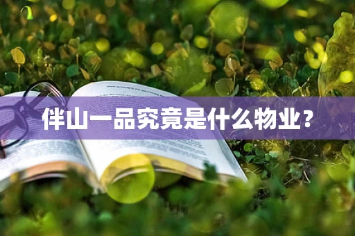 伴山一品究竟是什么物业？