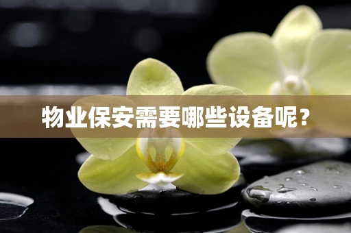 物业保安需要哪些设备呢？