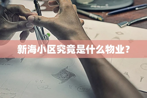 新海小区究竟是什么物业？