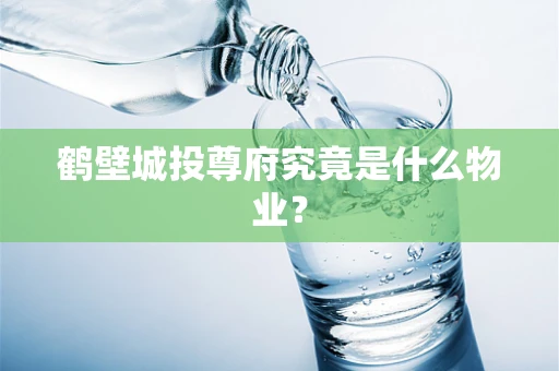 鹤壁城投尊府究竟是什么物业？