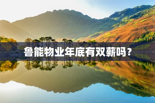 鲁能物业年底有双薪吗？