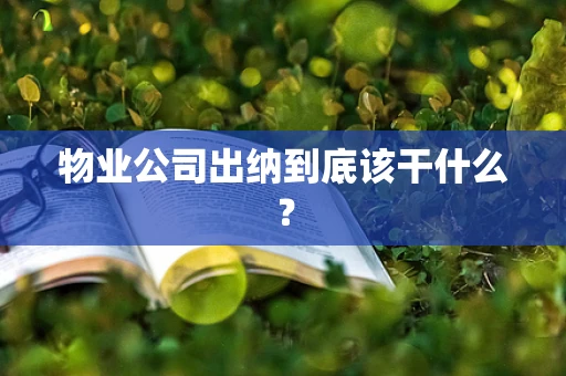 物业公司出纳到底该干什么？