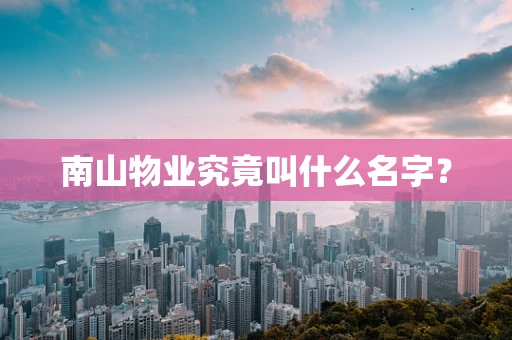 南山物业究竟叫什么名字？
