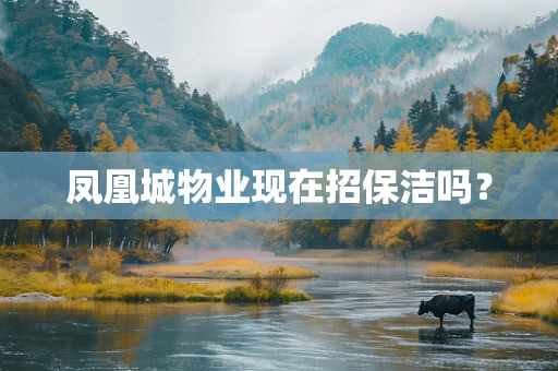 凤凰城物业现在招保洁吗？