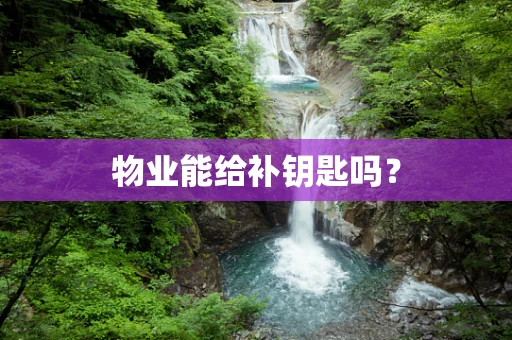 物业能给补钥匙吗？