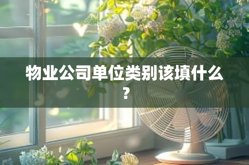 物业公司单位类别该填什么？