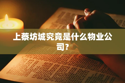 上蔡坊城究竟是什么物业公司？