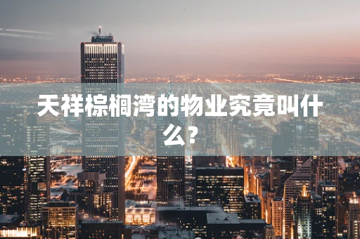 天祥棕榈湾的物业究竟叫什么？