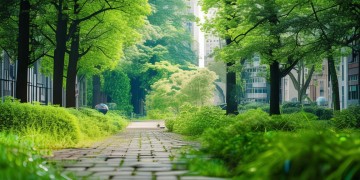 绿城物业为什么不能复职？