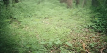 合肥物业擦玻璃会收费吗?