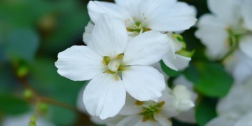 桂花苑物业平常会进行管理吗？