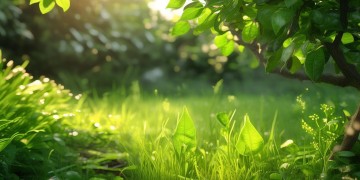 青柠寓物业真的安全吗?