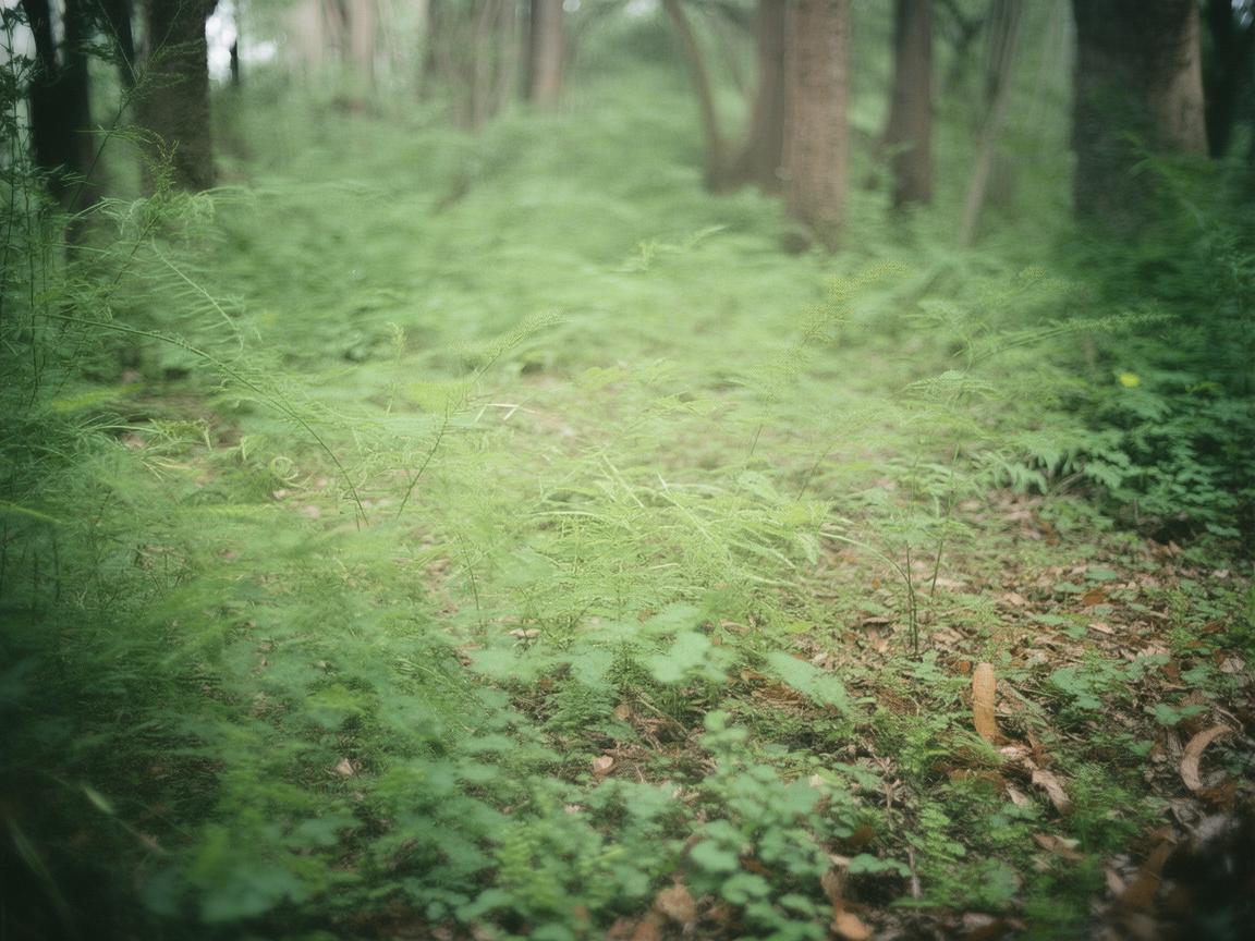 合肥物业擦玻璃会收费吗？